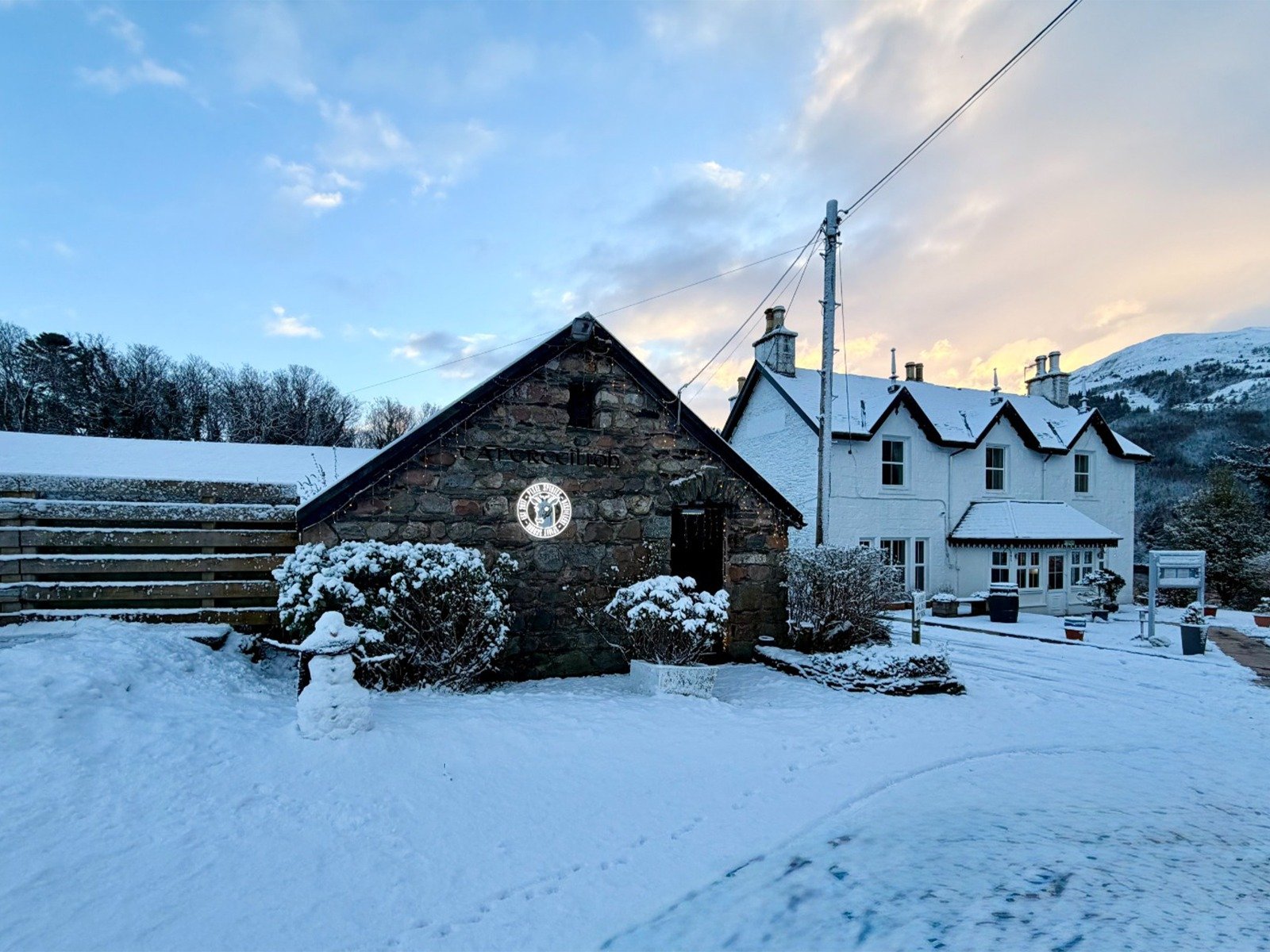 WhatsApp Image 2026-01-05 at 11.38.01 AM